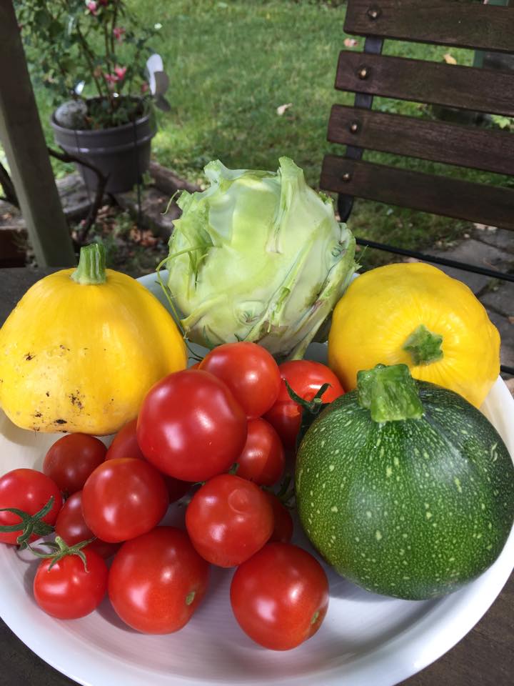 Frische Ernte gerade eben aus unserem Garten